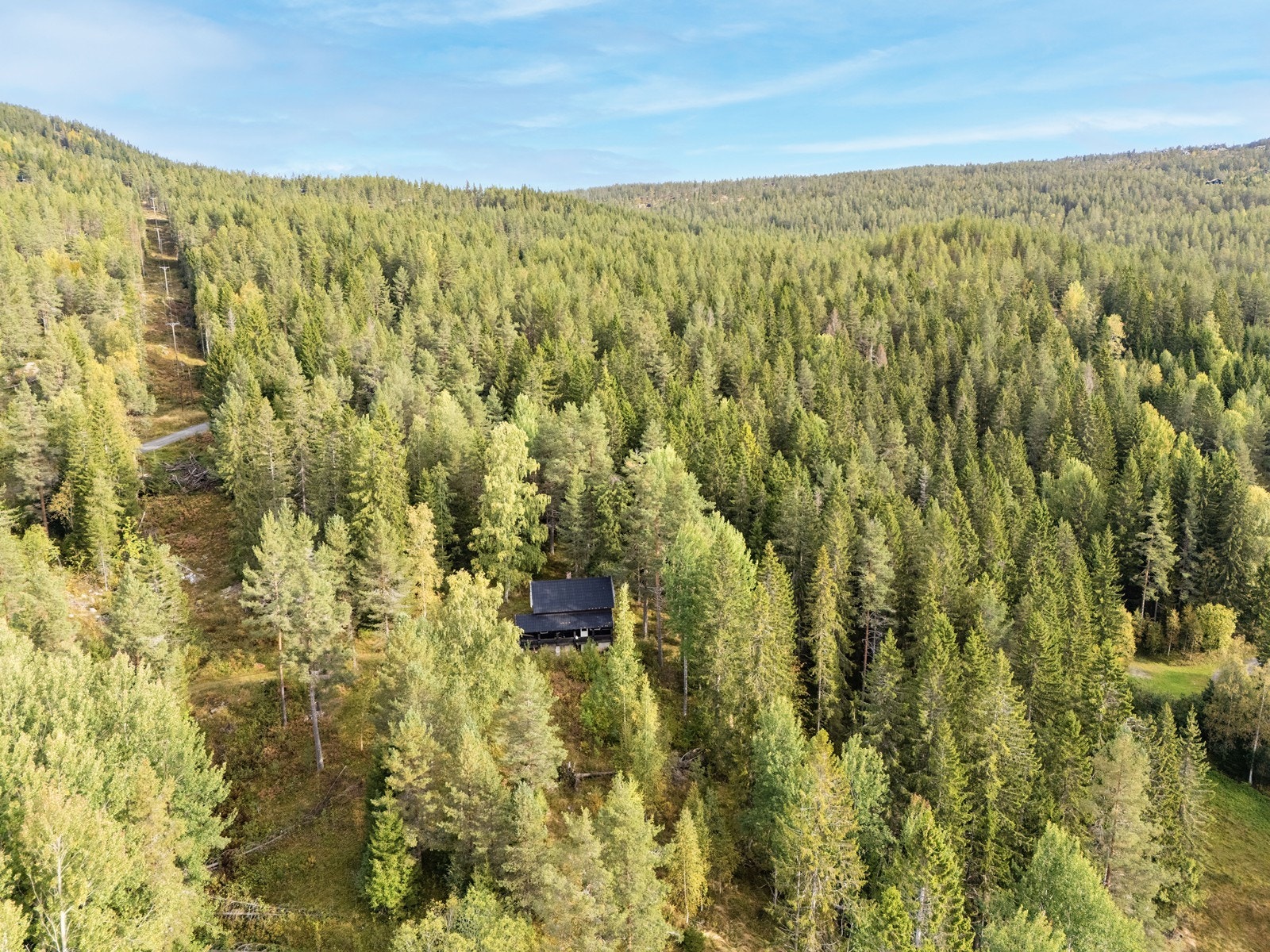 Eiendommen ligger meget usjenert omgitt av skogsvegetasjon Galleribilde