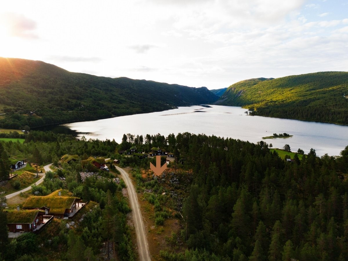 Pilen vi ca plassering. Knf megler. Galleribilde