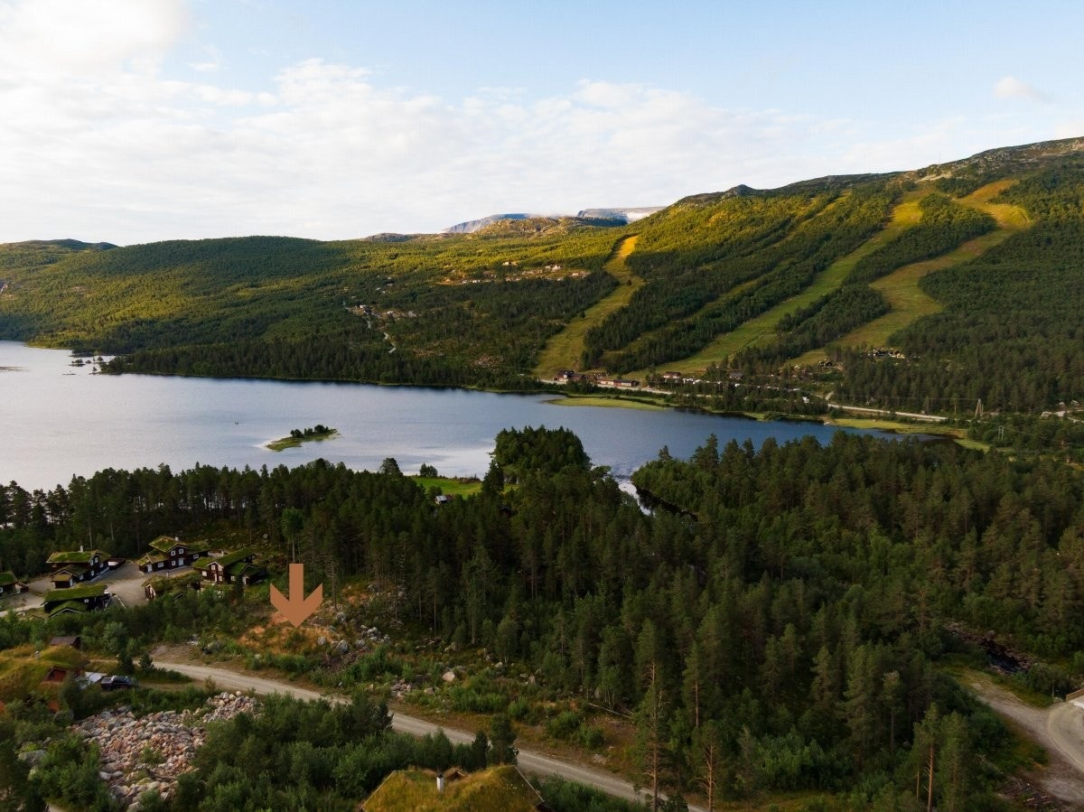 Pilen vi ca plassering. Knf megler. Galleribilde