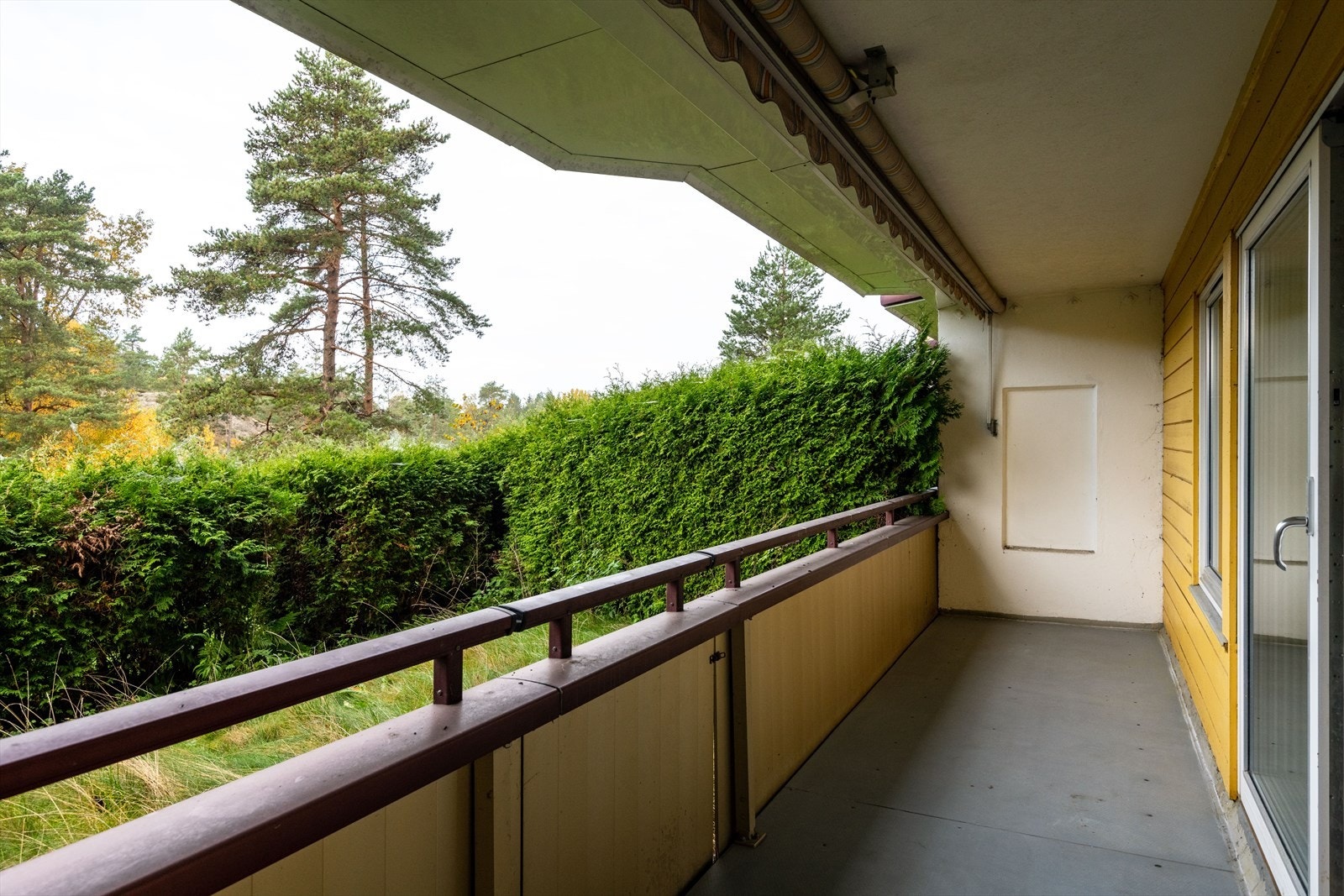 DSC_8909.jpg Galleribilde