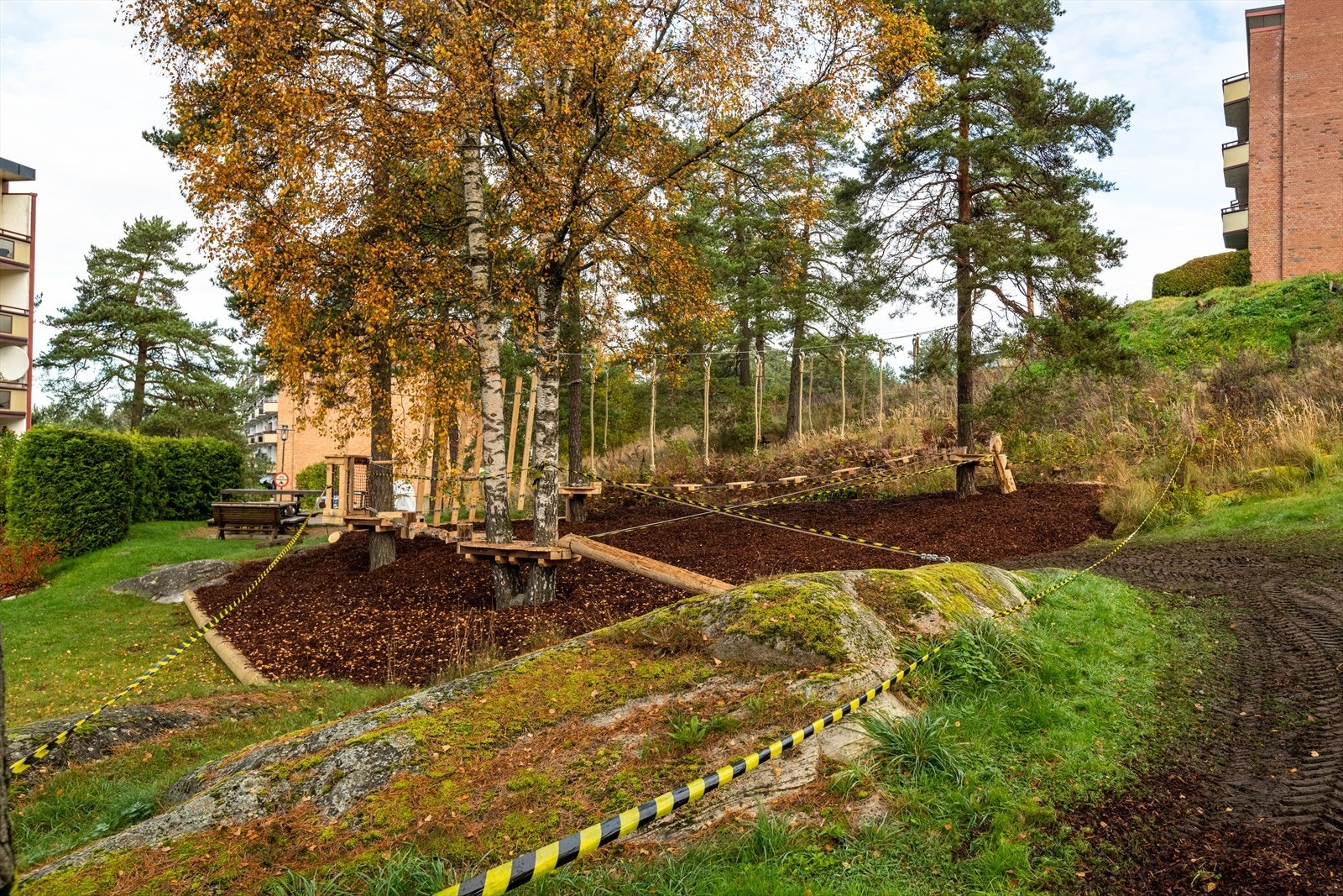 DSC_8921.jpg Galleribilde