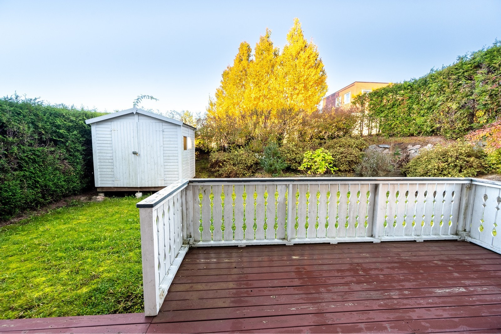 Frittliggende redskapsbod i hagen Galleribilde