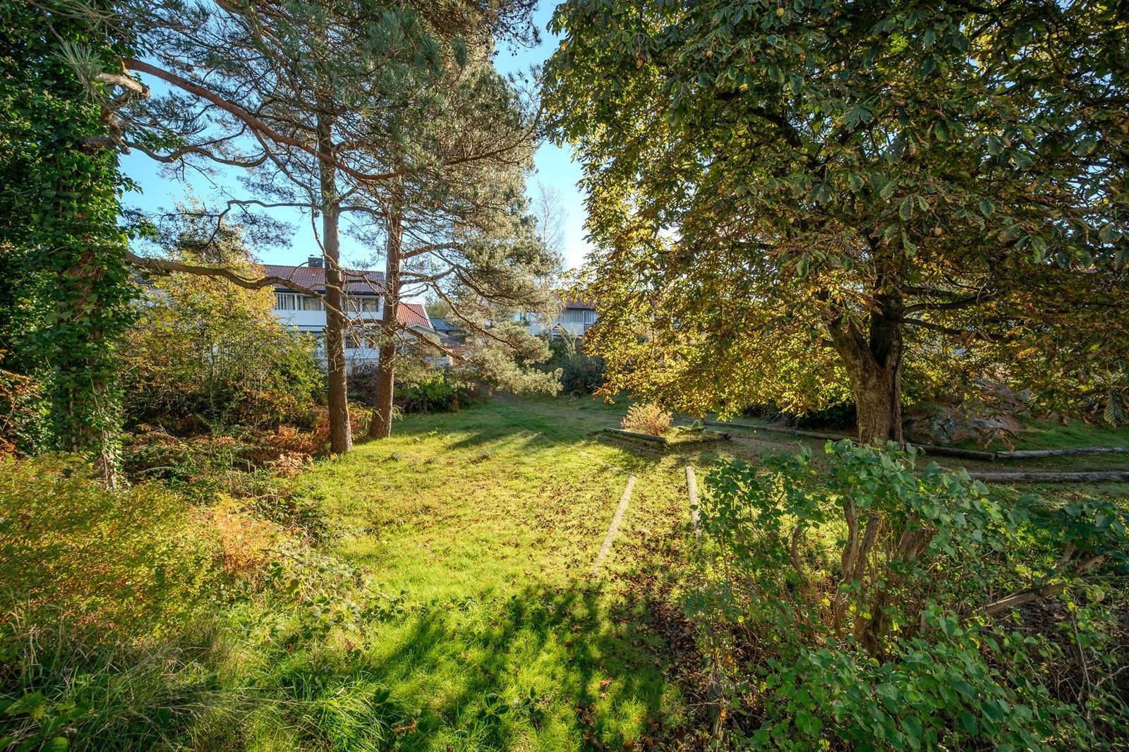 Umiddelbar nærhet til friområde Galleribilde