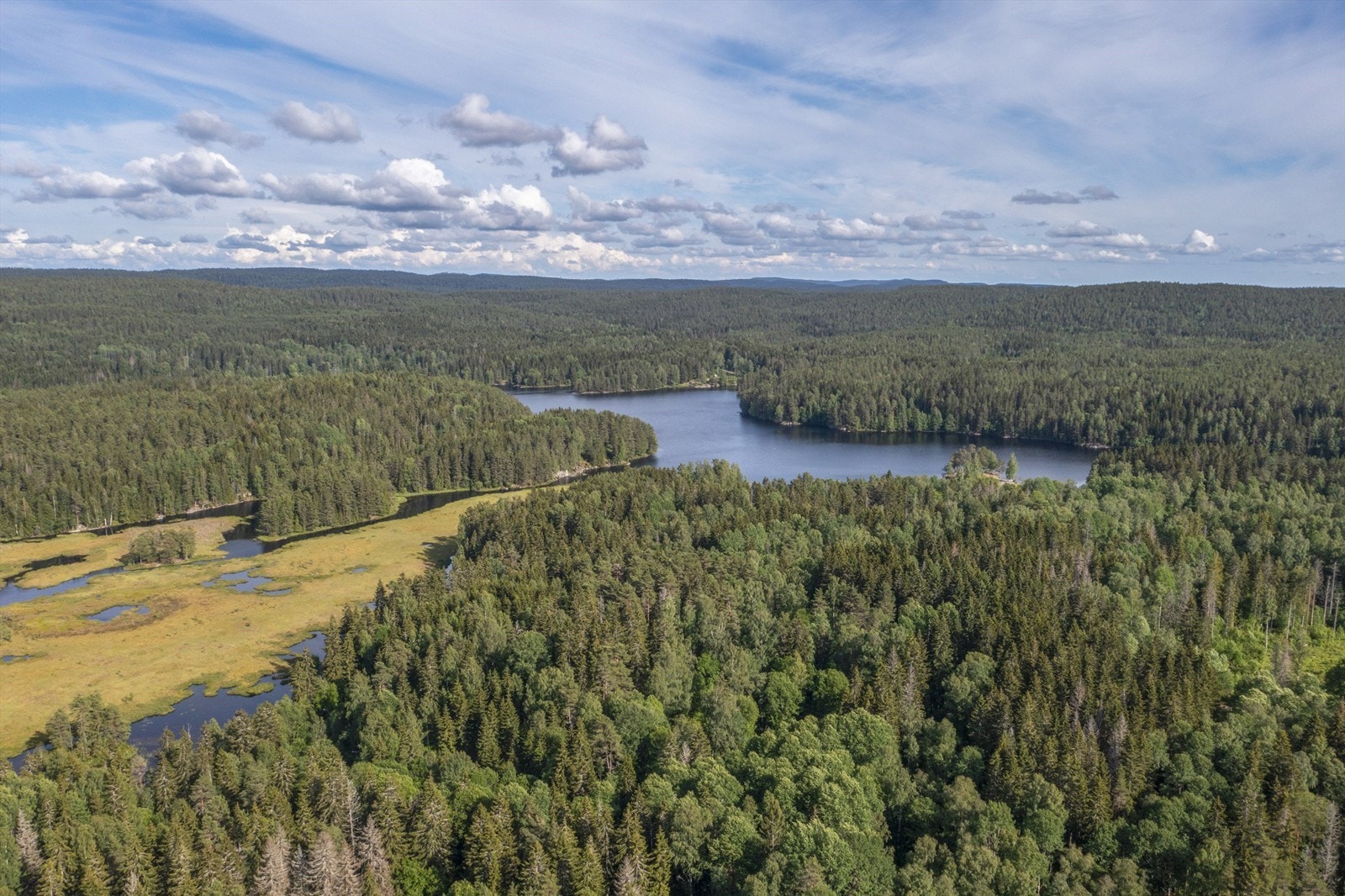 Drone - over myra og Nøklevann Galleribilde