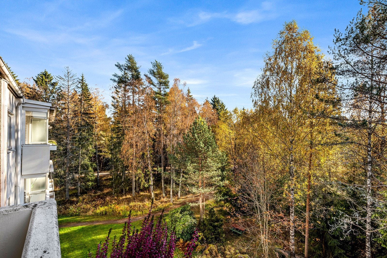 Grønt og frodig utsyn fra balkongen!
Marka ligger bak skogholtet. Galleribilde