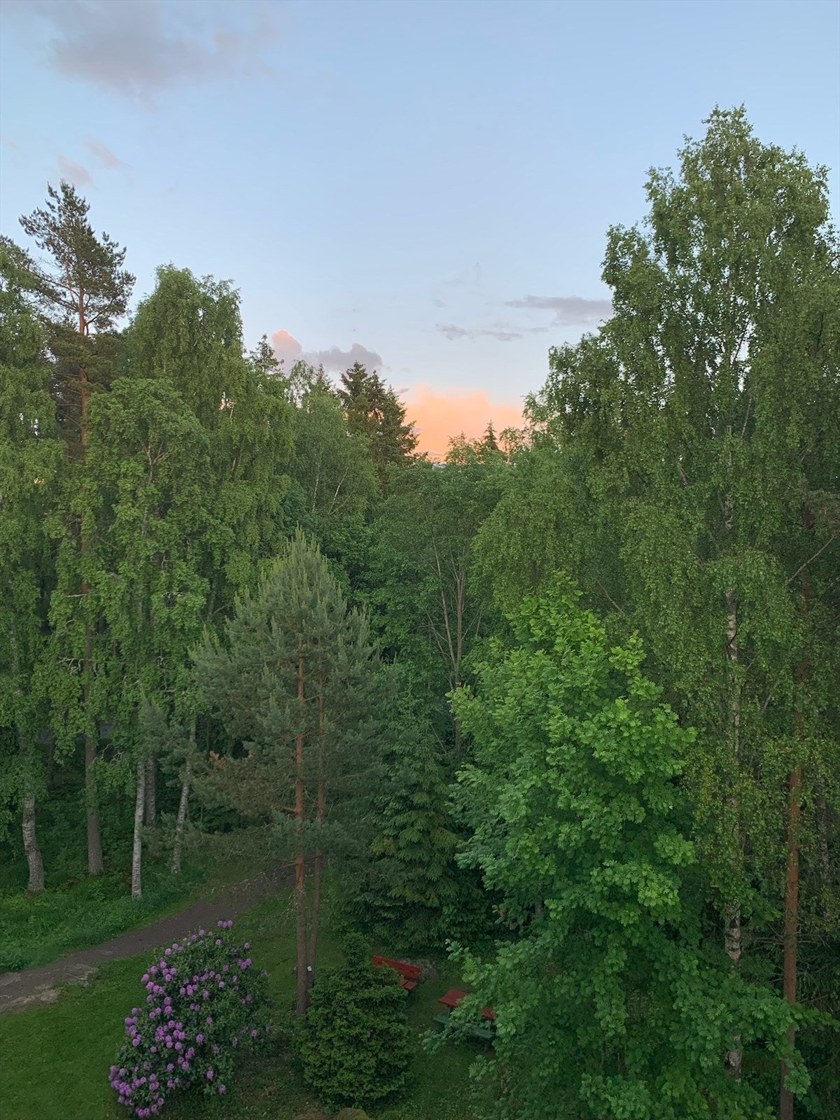 Nydelig utsyn mot syd og mot skogholtet. Følg stien her i 50 m og du er i Østmarka!
(Selgers egne bilder) Galleribilde