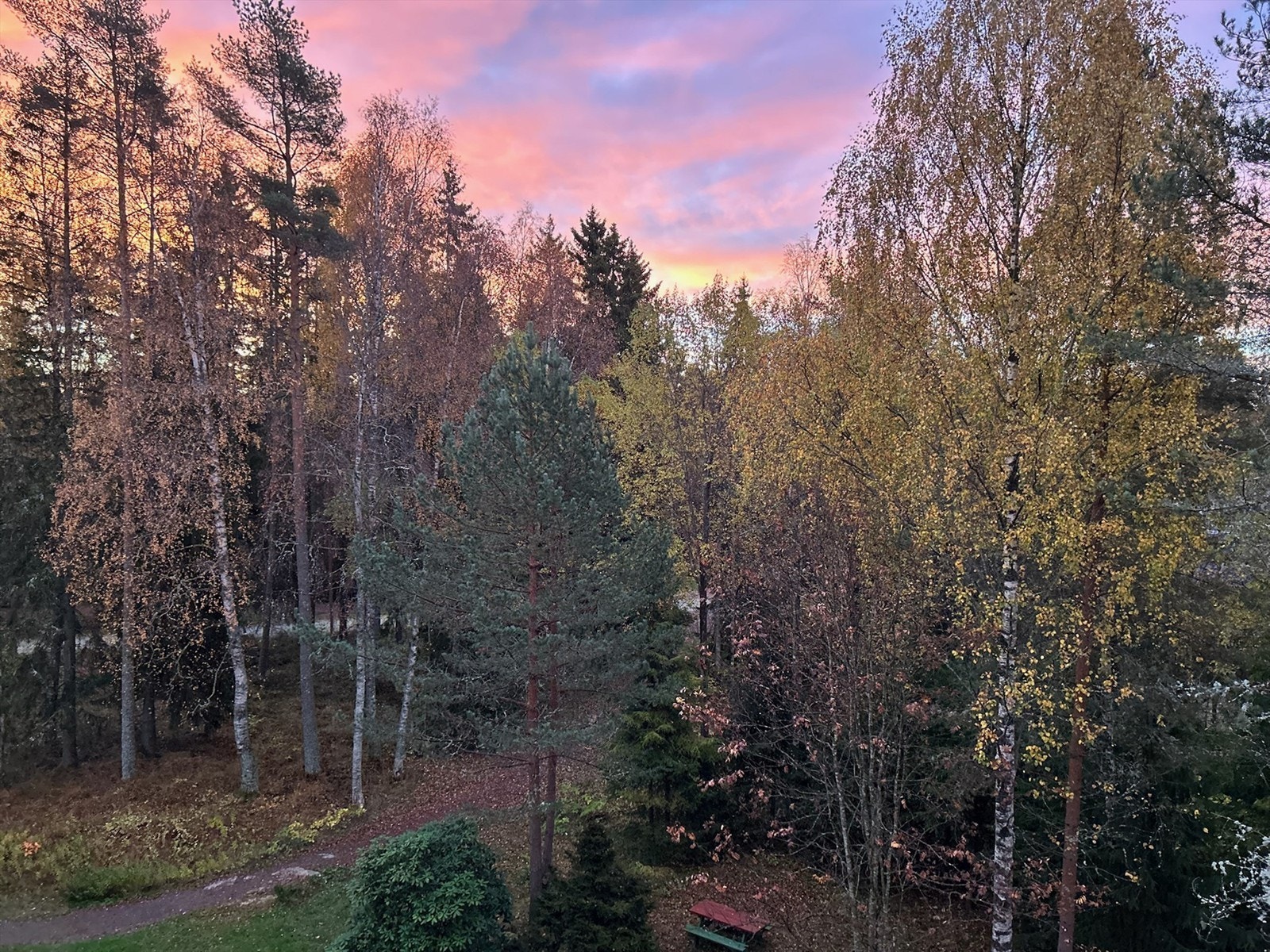 Utsyn fra balkongen (høst)
(selgers egne bilder) Galleribilde