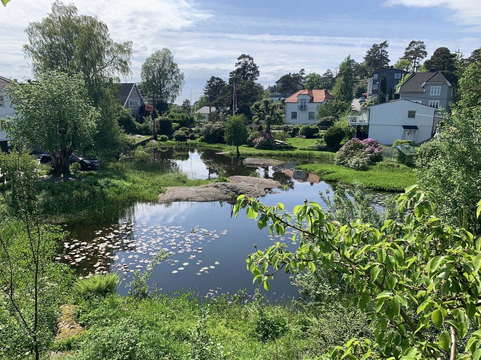 Springvannsdammen Galleribilde
