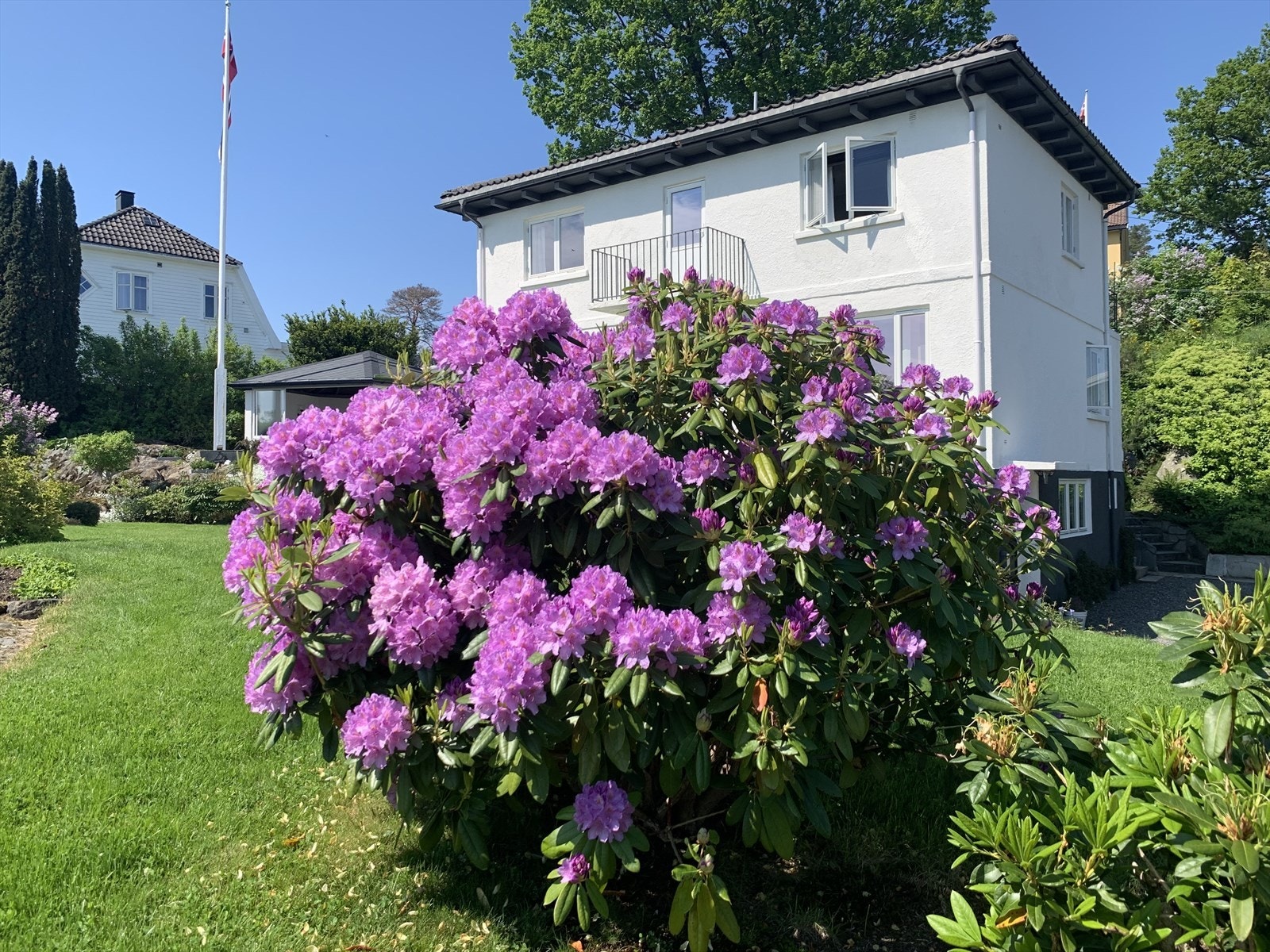 Privat bilde Galleribilde
