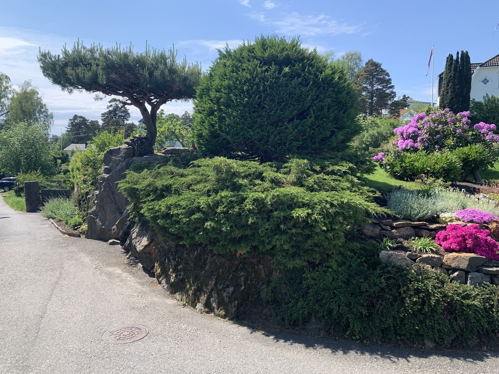 Privat bilde Galleribilde