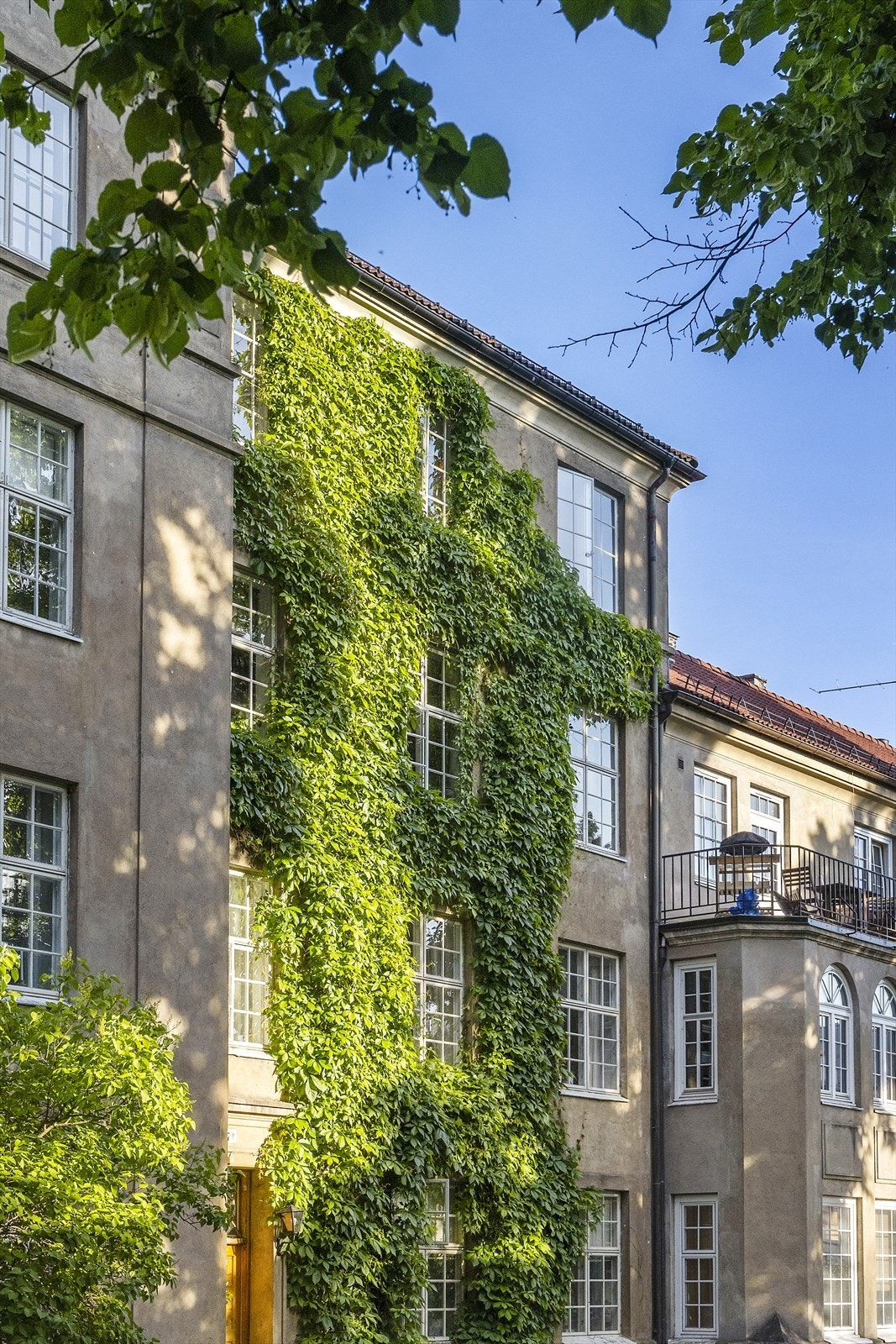 Vakker fasade vendt mot parken Galleribilde