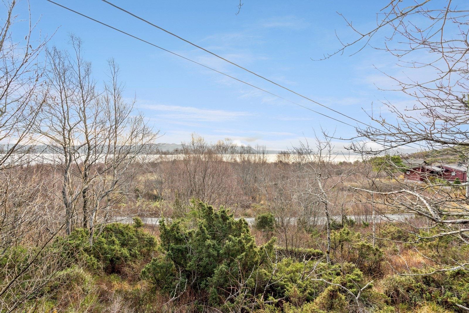 Fin utsikt i retning Trondheimsleia fra tomten. Galleribilde