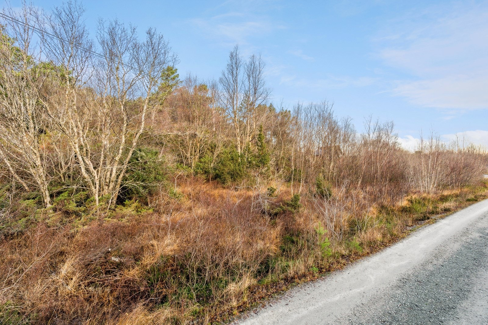 Tomten ligger nesten helt inn til opparbeidet bilvei (blindvei uten gjennomgangstrafikk). Galleribilde
