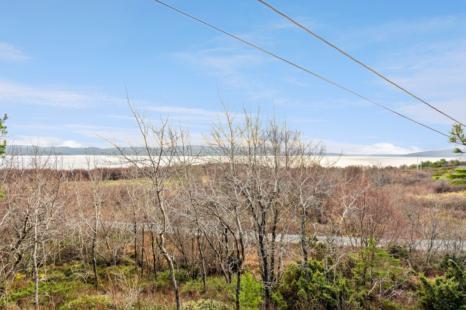 Fin og romslig hyttetomt på idylliske Agdenes klargjort for både vei, vann og avløp og strøm. Galleribilde