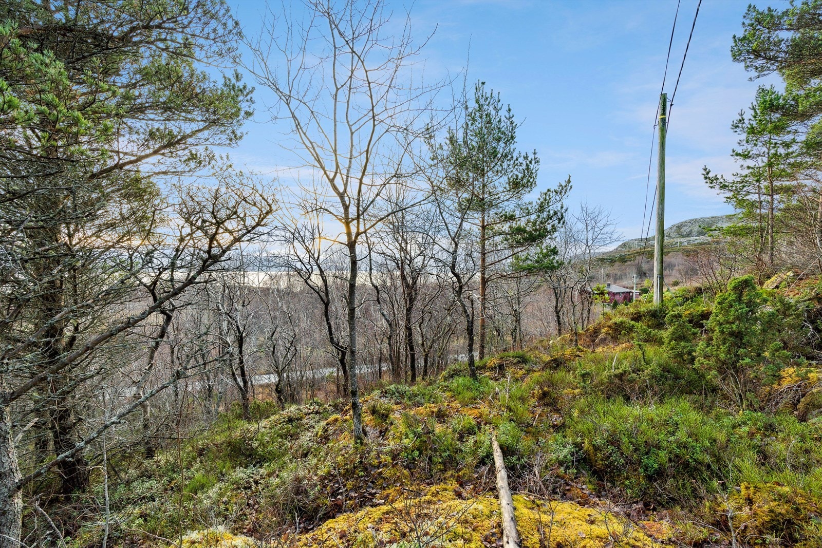 Eiendommen ligger i en blindvei som leder inn til et lite hyttefelt. Galleribilde