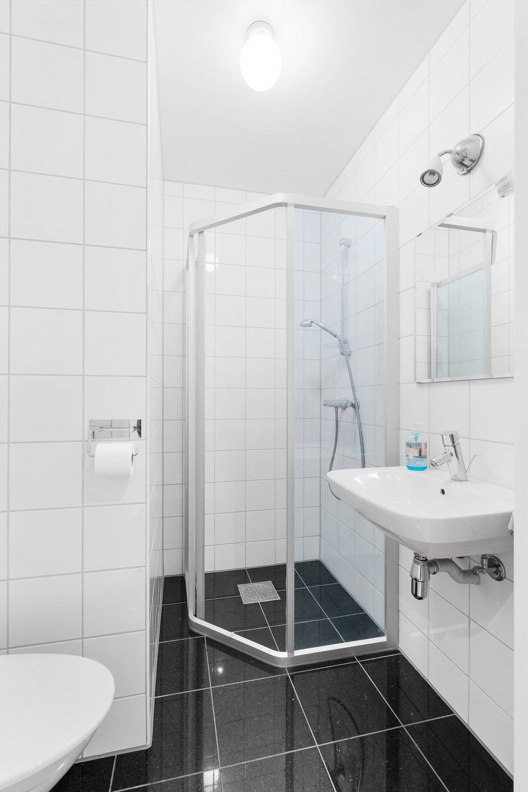 Gjestebad Galleribilde