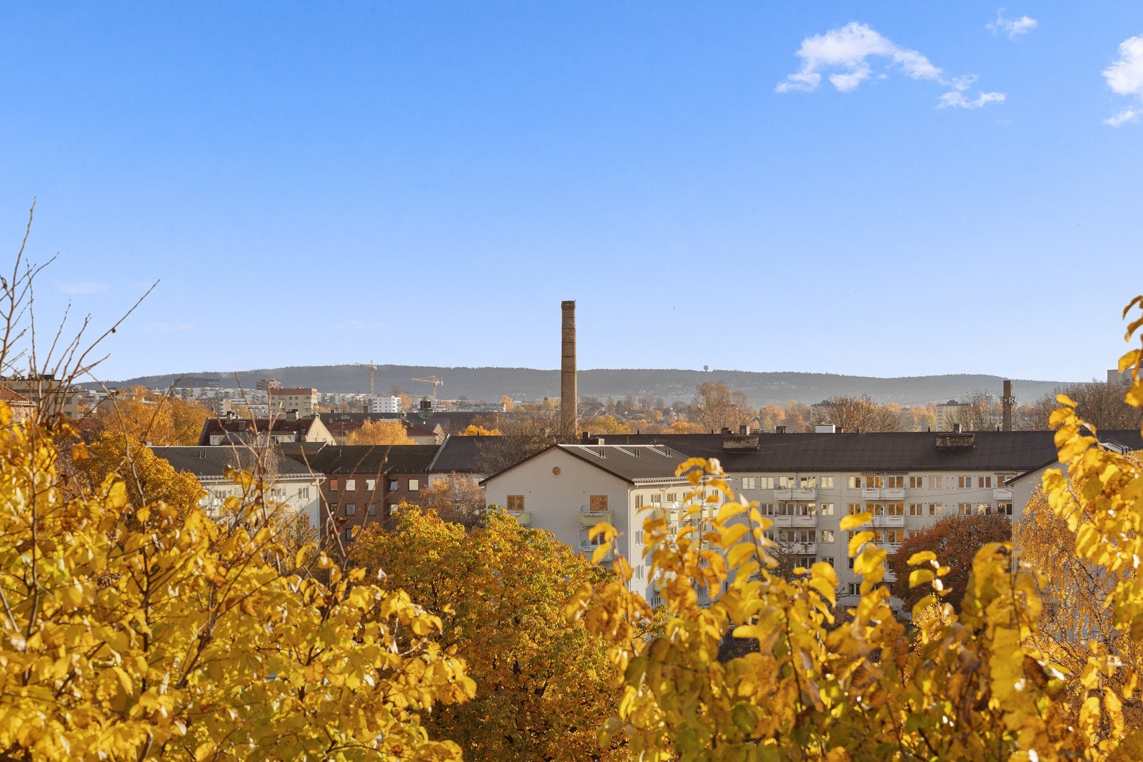 Vidstrakt utsikt. Galleribilde