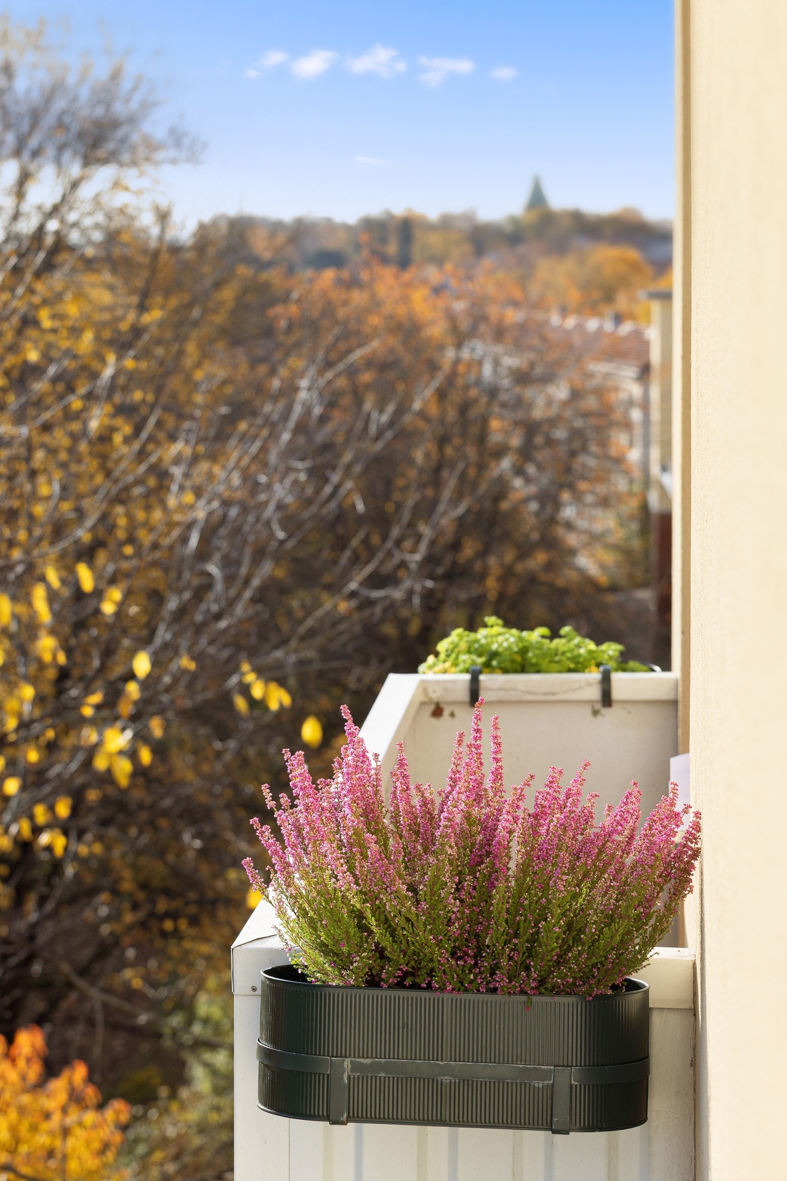 Dette er plassen å nye på varme sommerdager. Galleribilde