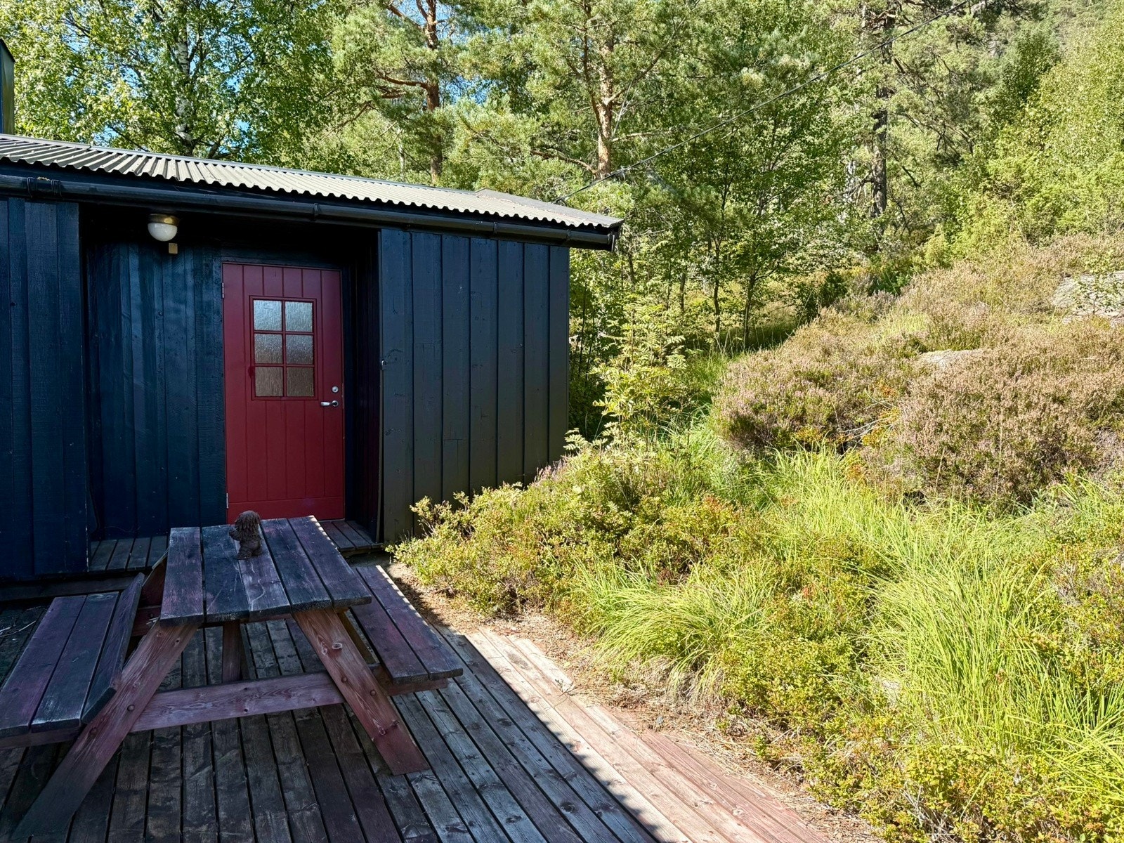 Inngangsparti (sommer Galleribilde