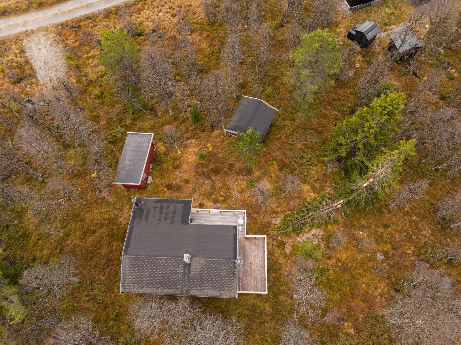 Oversiktsbilde. Galleribilde