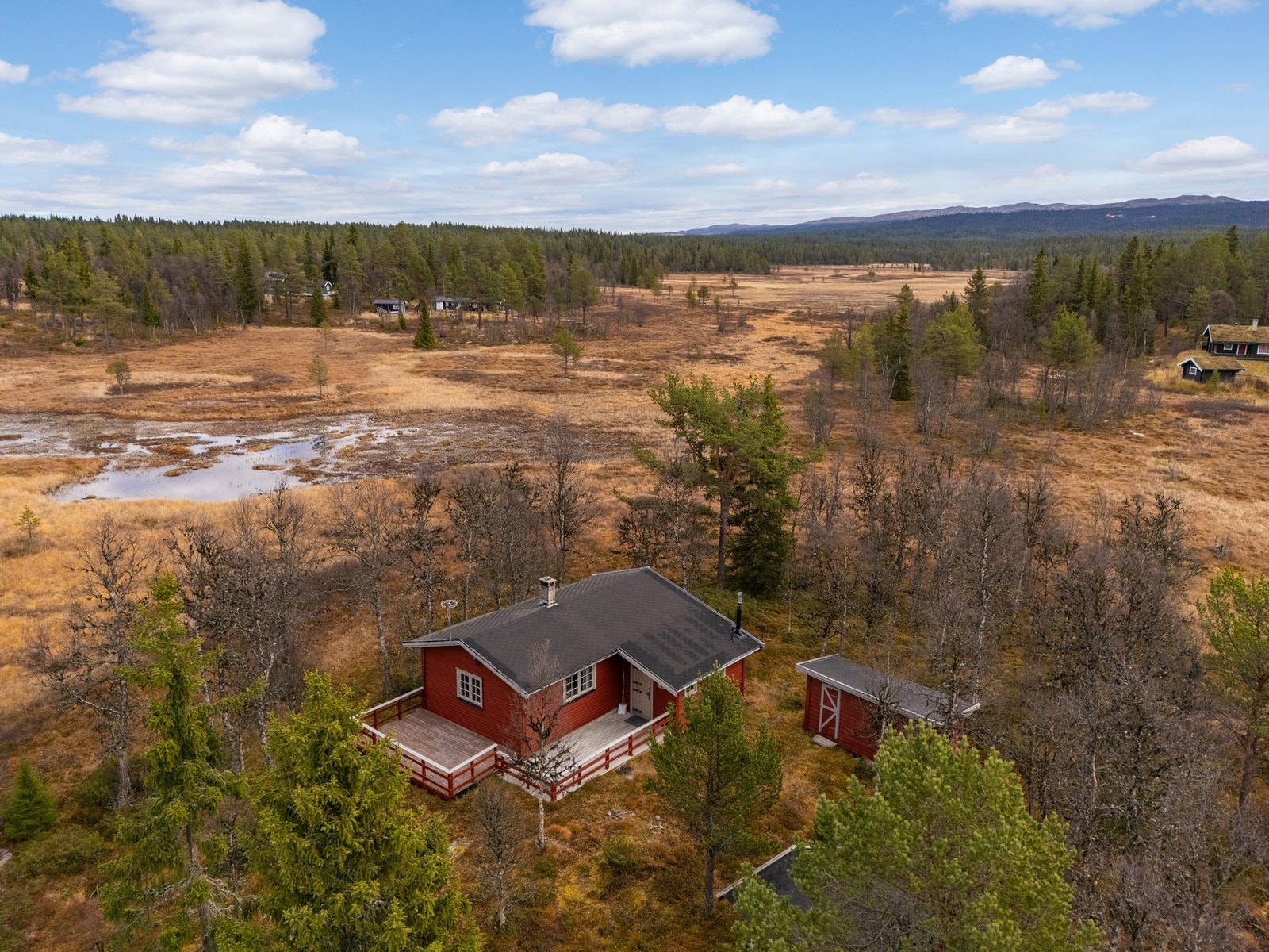 Velkommen til fjells og på hyggelig visning! Galleribilde