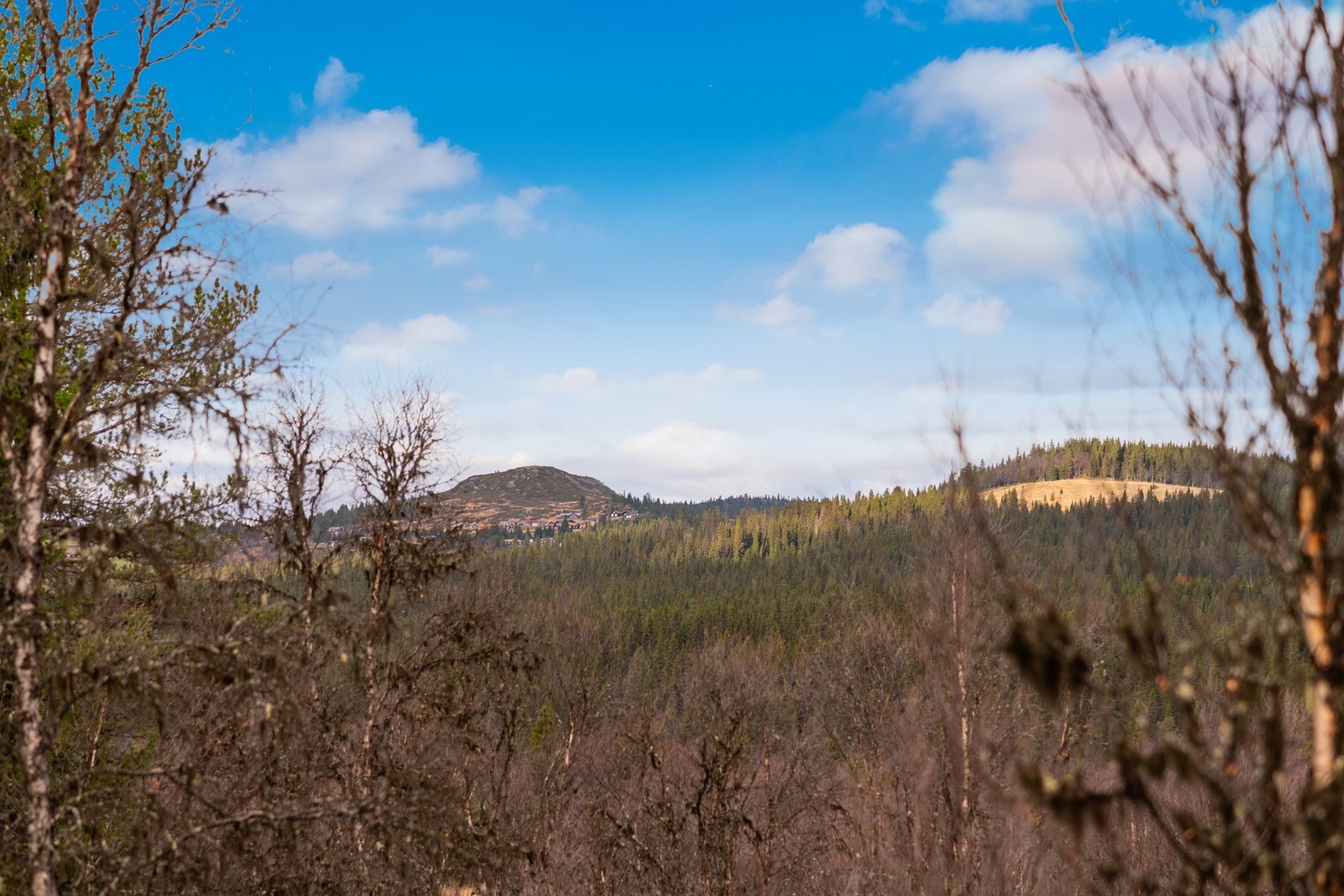 Fra terrassen kan utsikten mot blant annet Storefjell nytes. Galleribilde