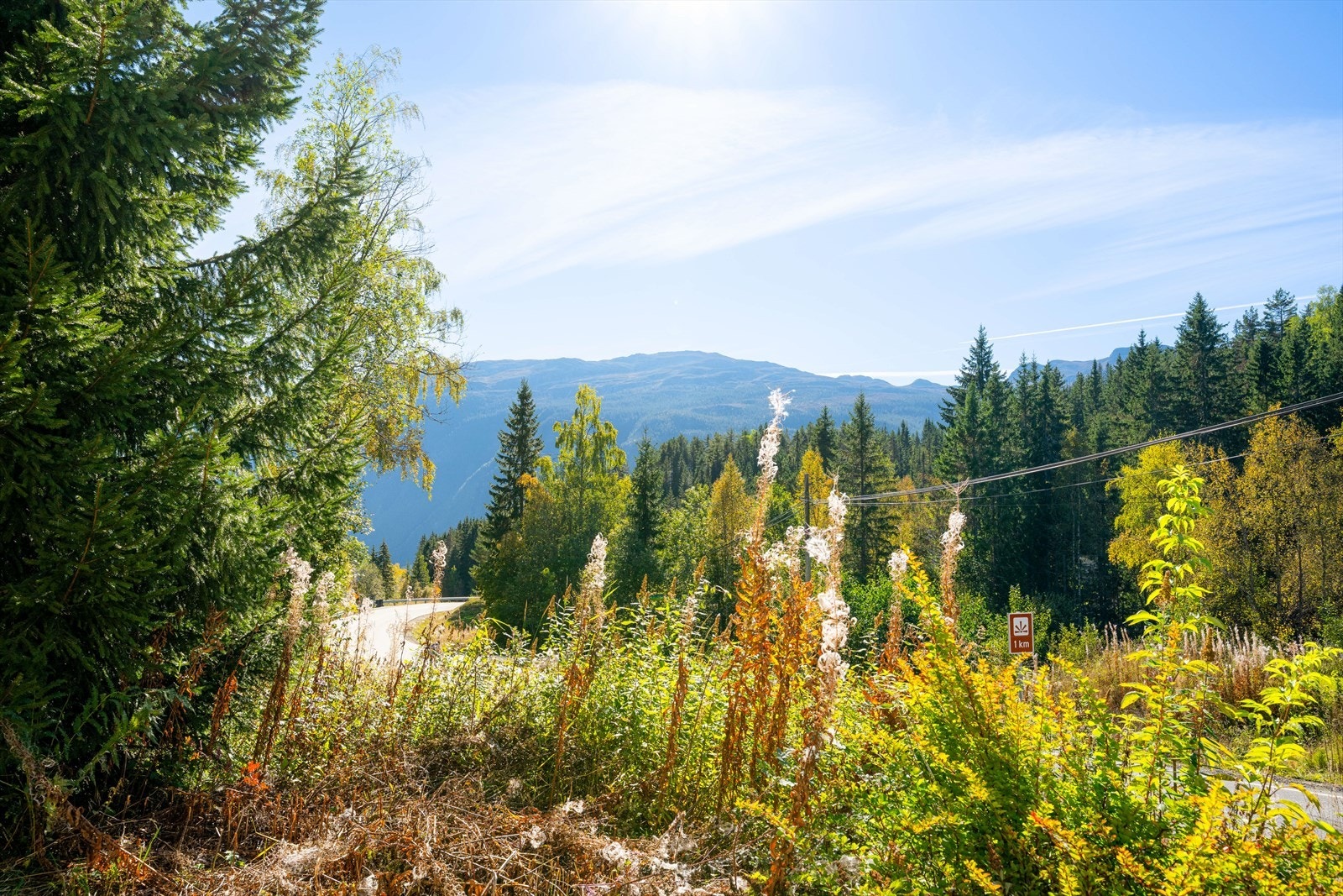 Eiendommen ligger fint til i idylliske Flatdal - ei lita bygd i Seljord kommune. I sentrum av Flatdal, ca. 4 kvm fra eiendommen, finner man Joker dagligvareforretning. Like utenfor sentrum ligger Flatdal oppvekstsenter med skole, SFO og barnehage. Galleribilde
