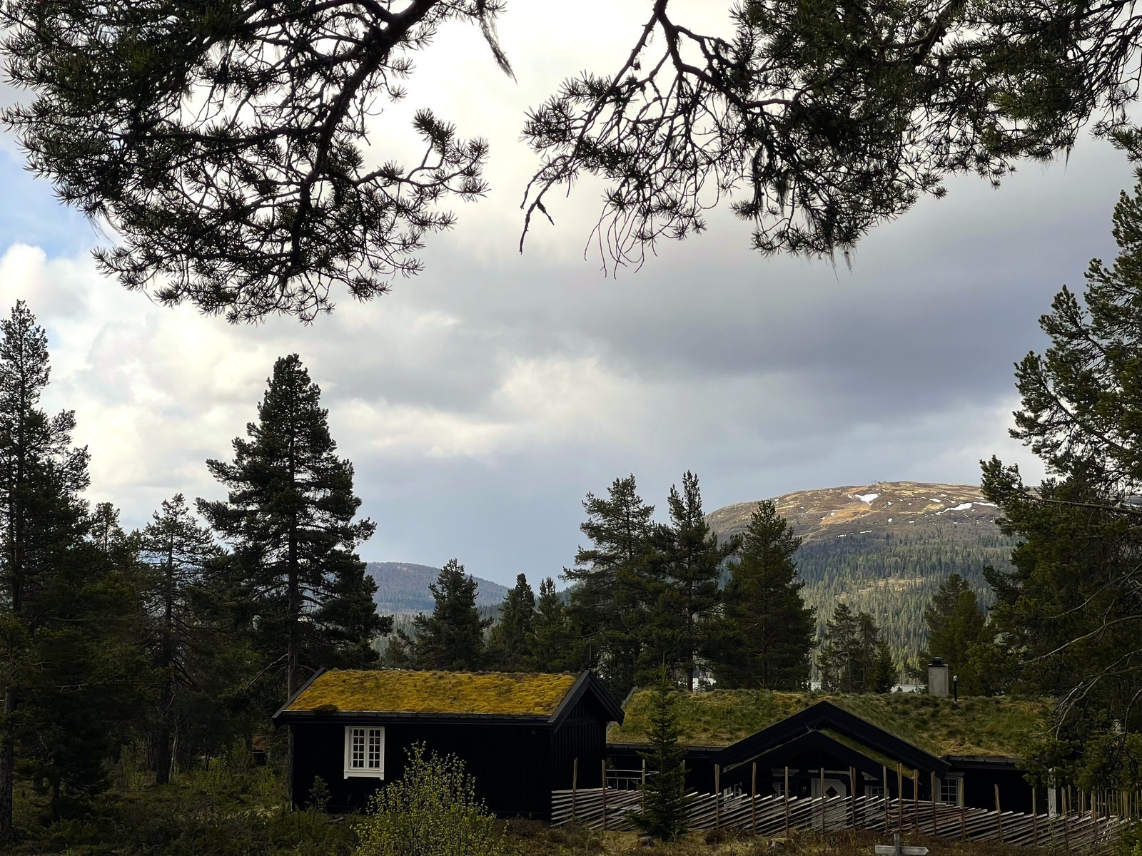 Utsikt mot Valsfjell fra tomt 18 Galleribilde