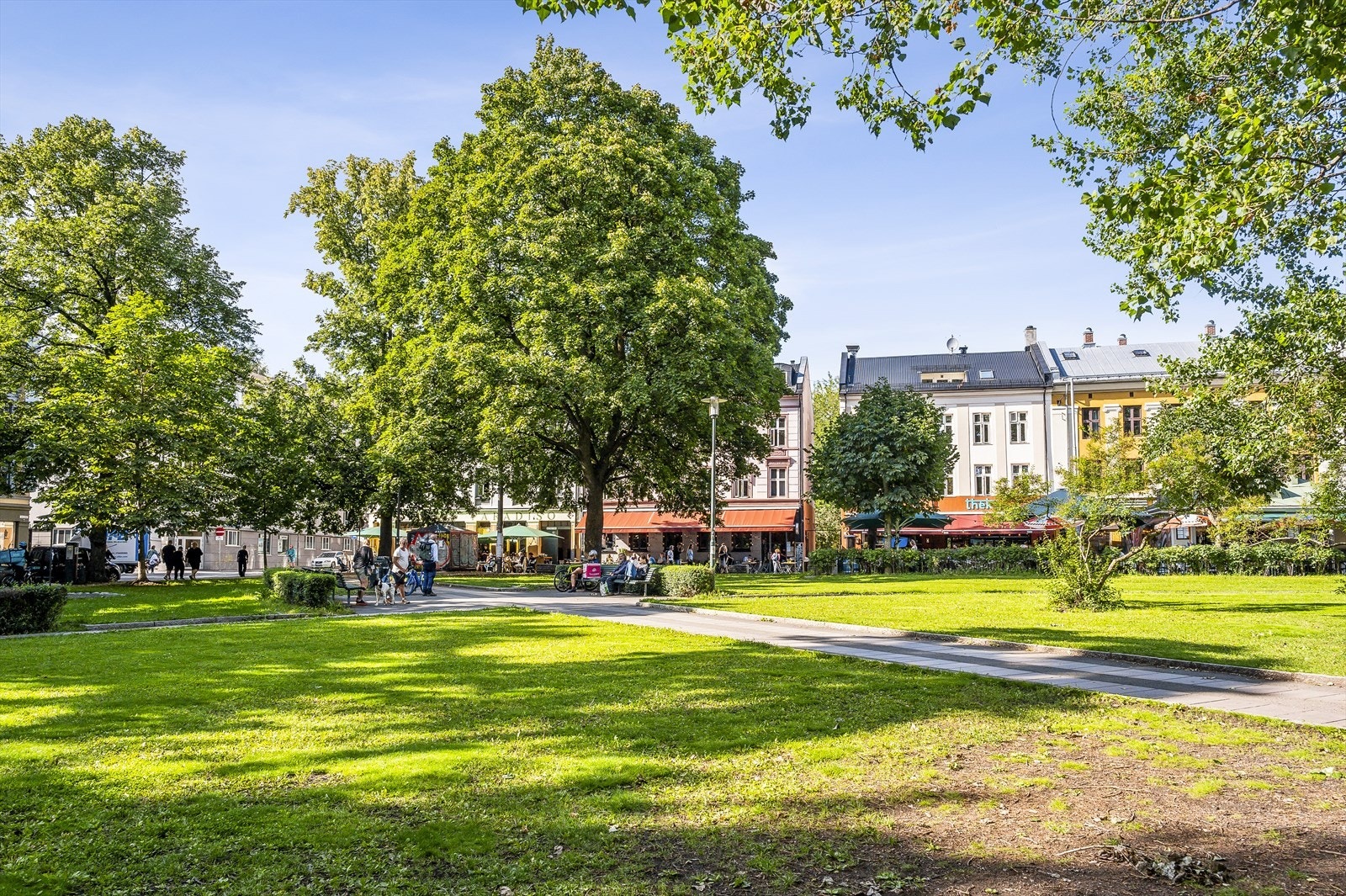 Olaf Ryes plass i sommerdrakt - en grønn lunge omkranset av restauranter og hyggelige uteserveringer på sommerstid Galleribilde