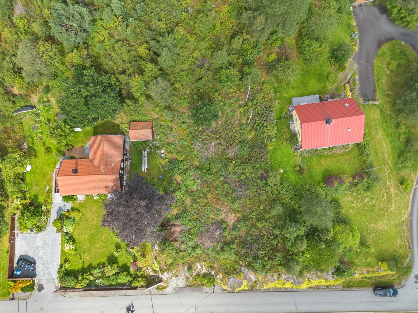 Tomten er forholdsvis flat og ryddet for skog Galleribilde