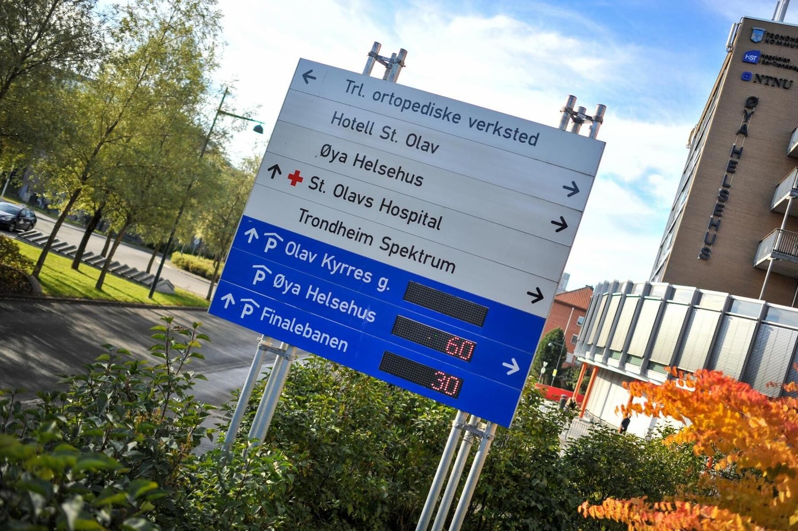 St. Olavs like ved Galleribilde