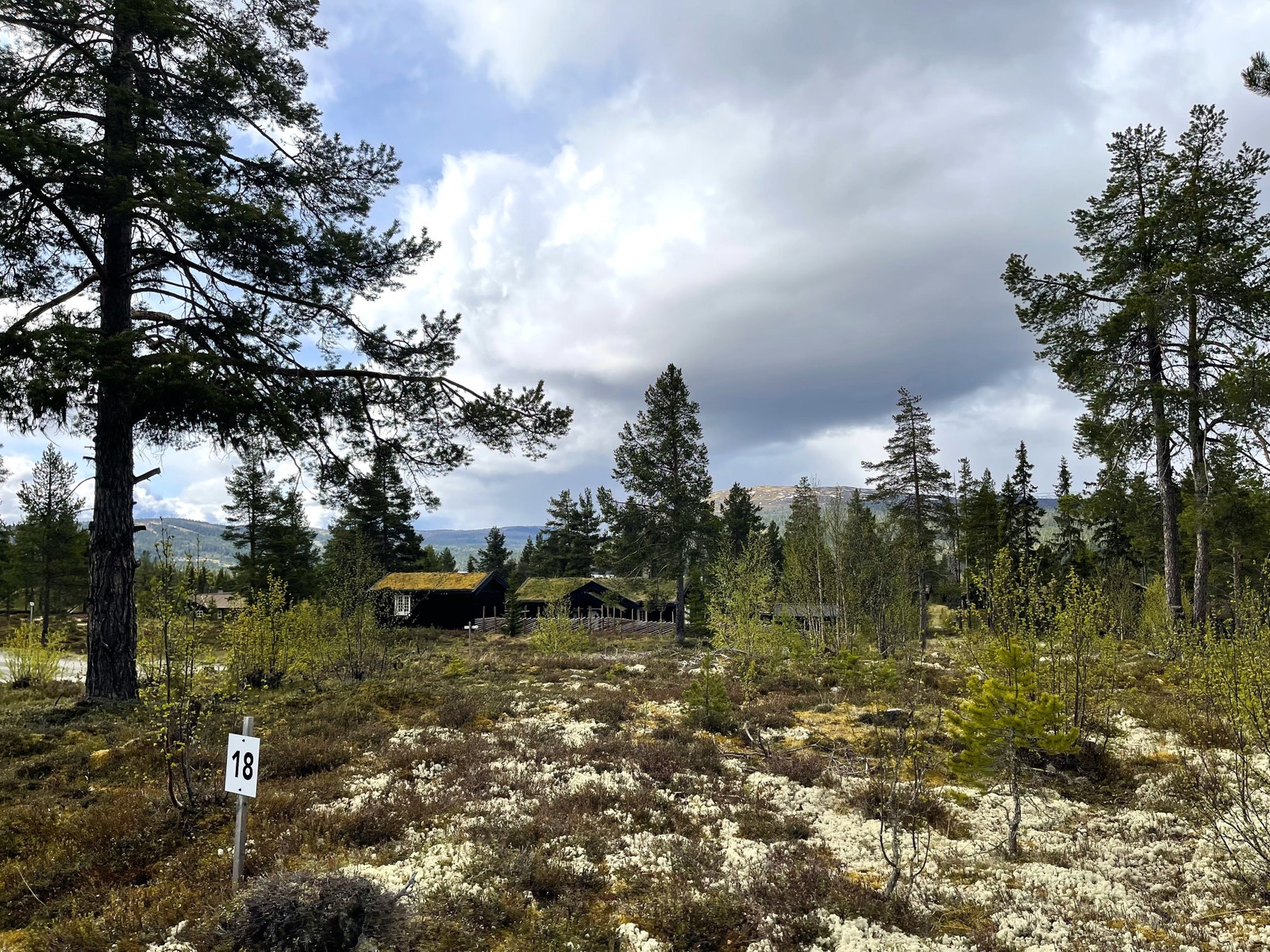 Utsikt mot skibakkene i Valsfjell (til høgre) og Blåbærfjell (til venstre) Galleribilde