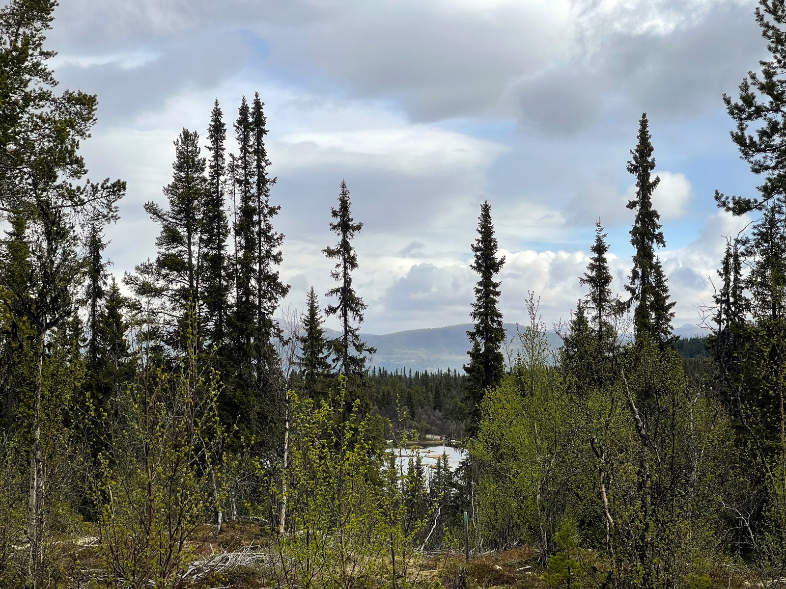 Fra tomt 35 ser man ned på Åbortjønna Galleribilde