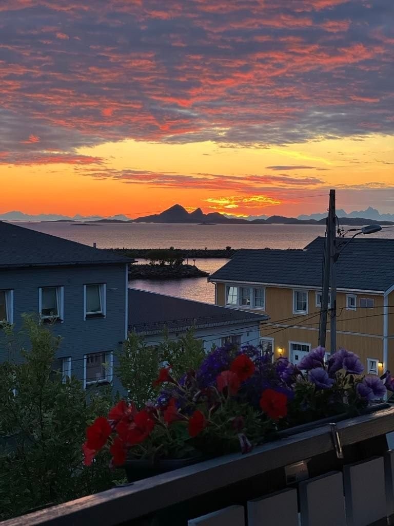 Utsikt fra stue sommer Galleribilde