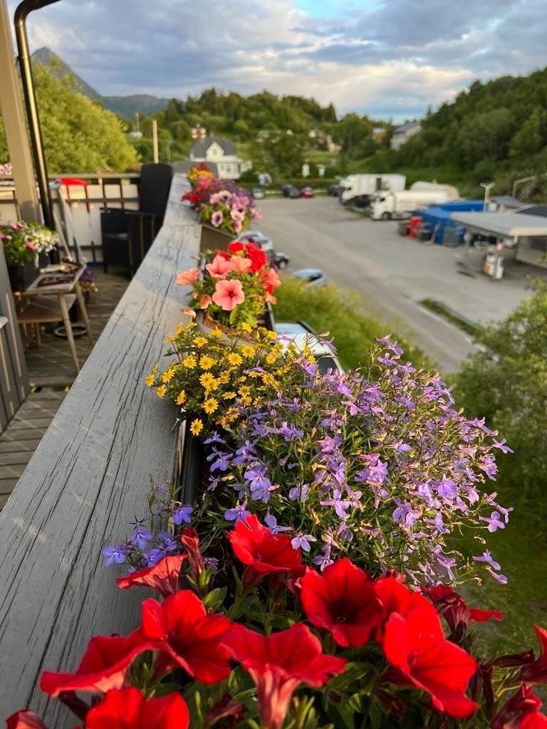 Fra veranda Galleribilde