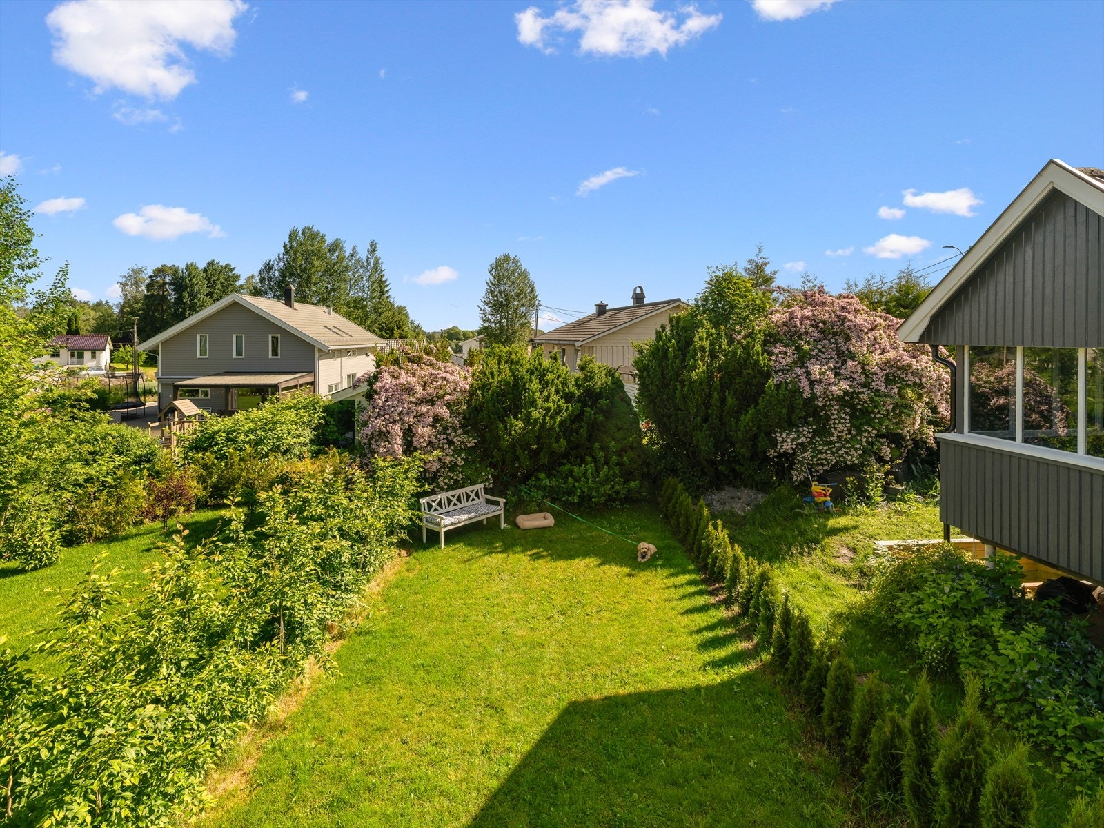 Utsikt til hagen. Galleribilde