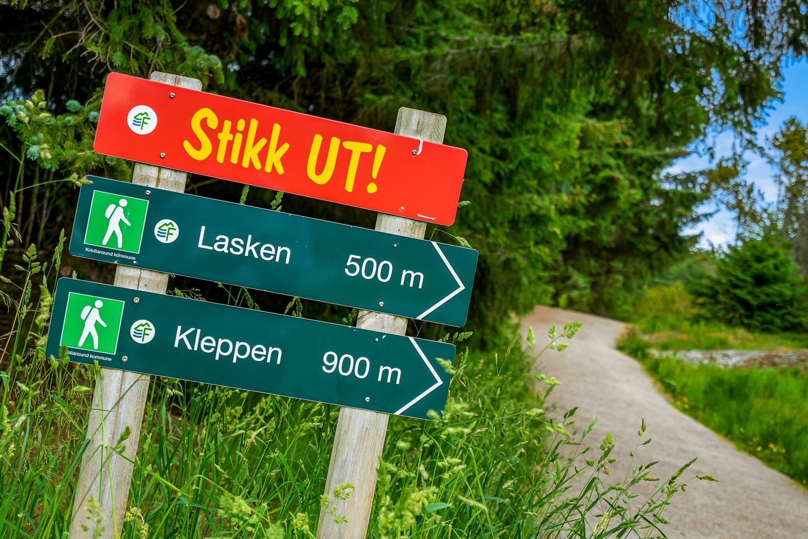 Nærområde - Folkeparken og Lasken Galleribilde