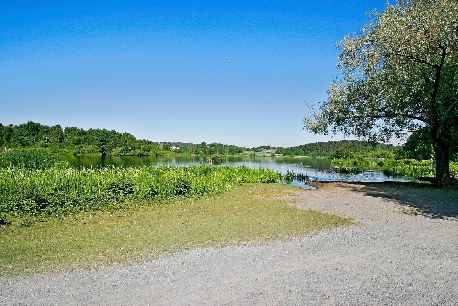 Østensjøvannet med gode turmuligheter rundt. Galleribilde