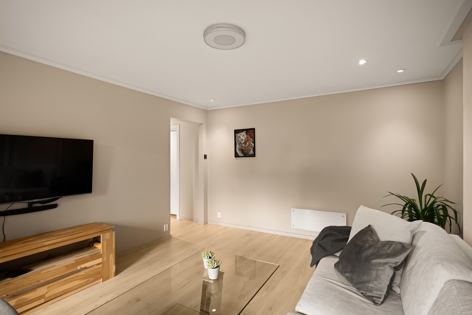 En sosial sone i leiligheten - perfekt for filmkvelder og hyggelige sammenkomster Galleribilde