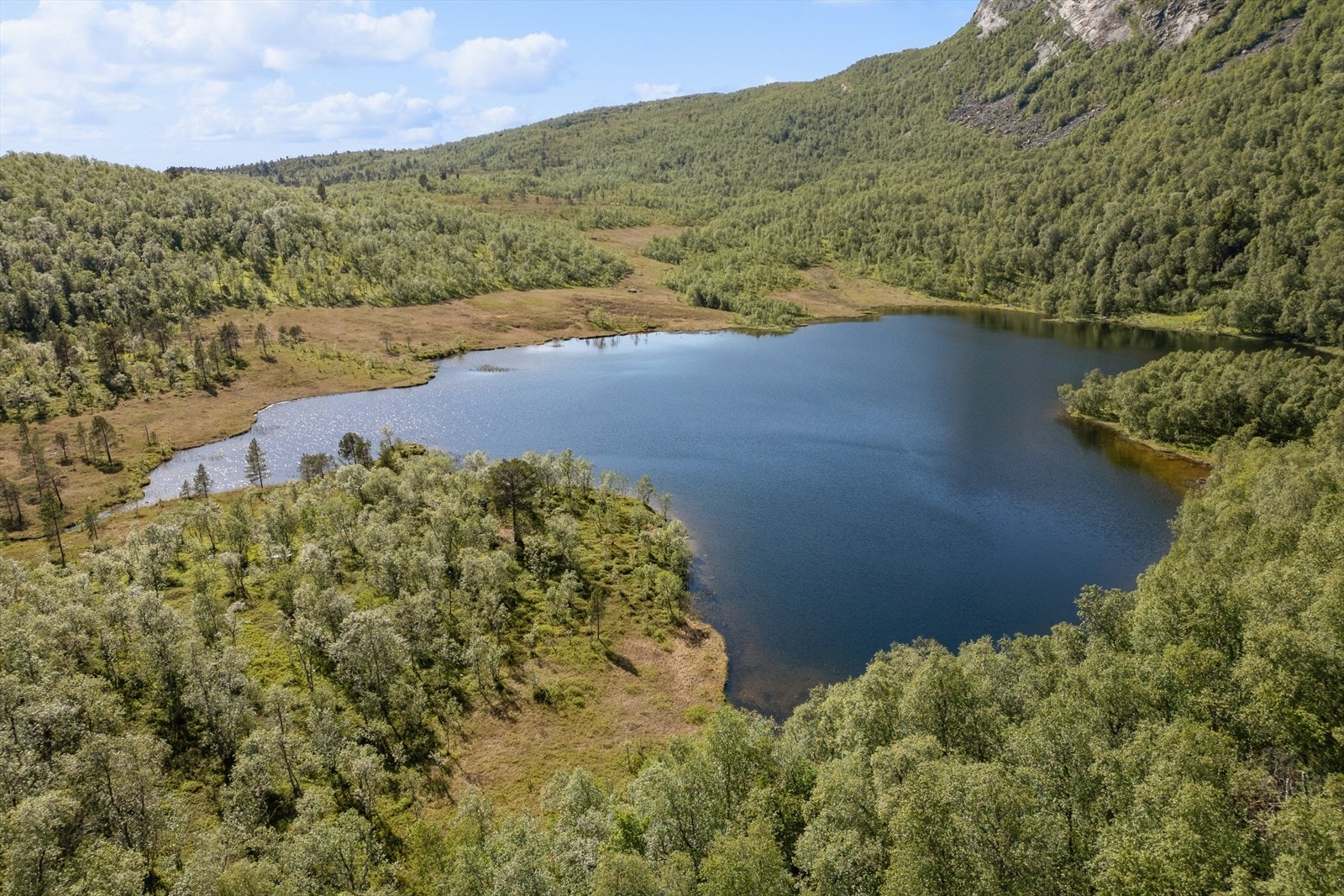 Eiendommen har store deler av strandlinje til fjellvannet. Galleribilde