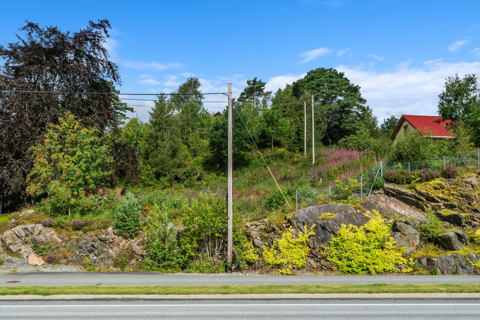 Areal: ca. 1036 kvm Galleribilde