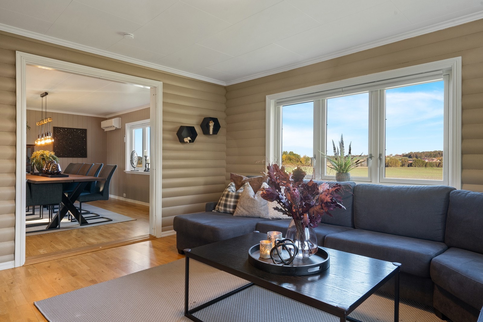 Del av stue som passer for sofakrok Galleribilde