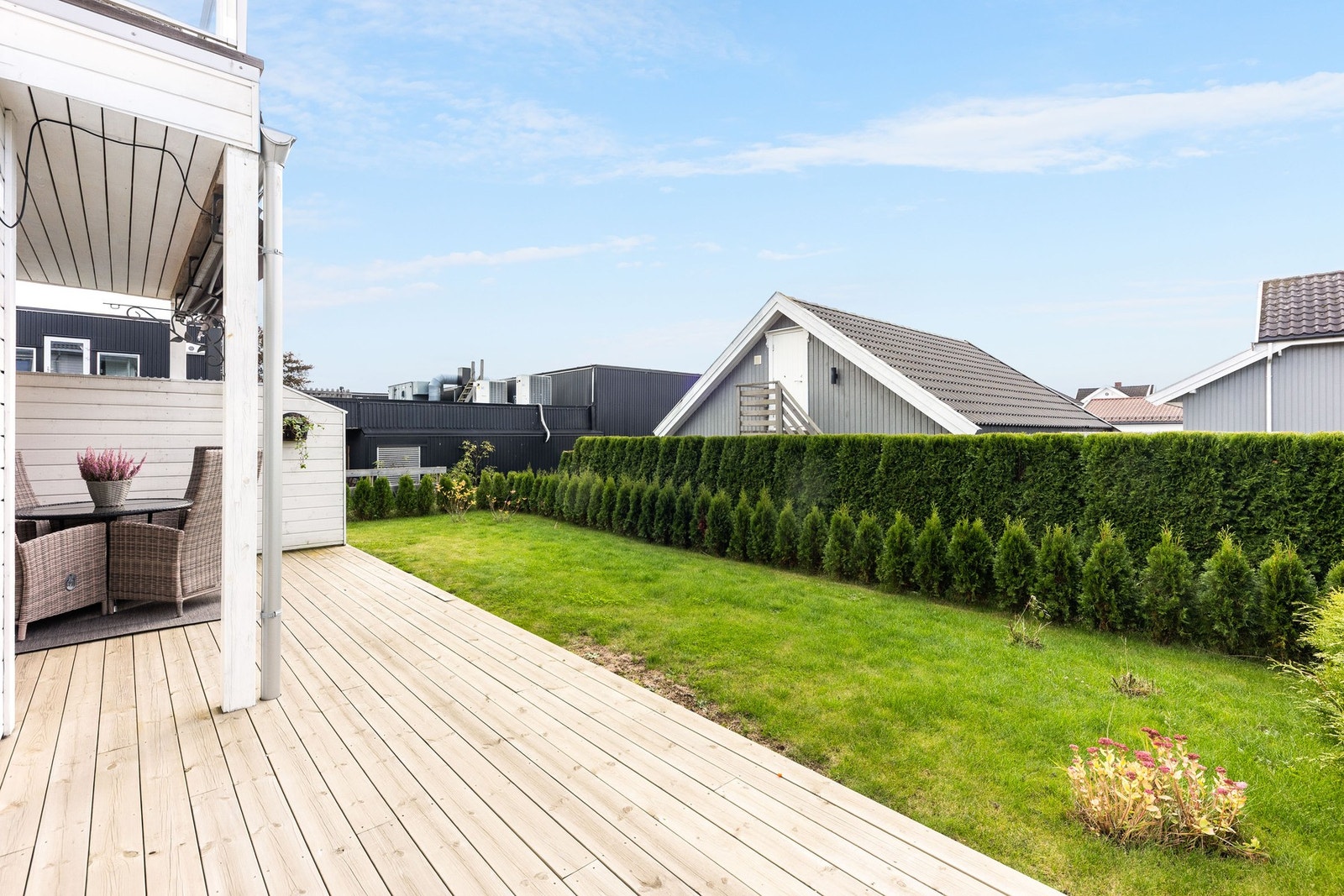 Grønne omgivelser Galleribilde