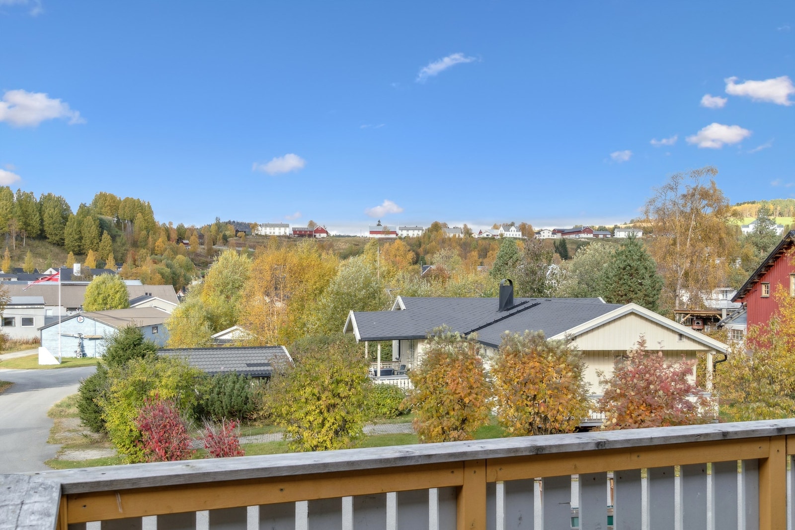 Nærområdet. Galleribilde