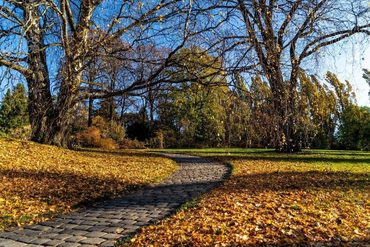 Leiligheten er omringet av grønne lunger i umiddelbar nærhet, og et utall av turmuligheter og treningsrunder. Botanisk hage, Tøyenparken, Ola Narr, Sofienbergparken, Akerselva er de nærmeste. Galleribilde