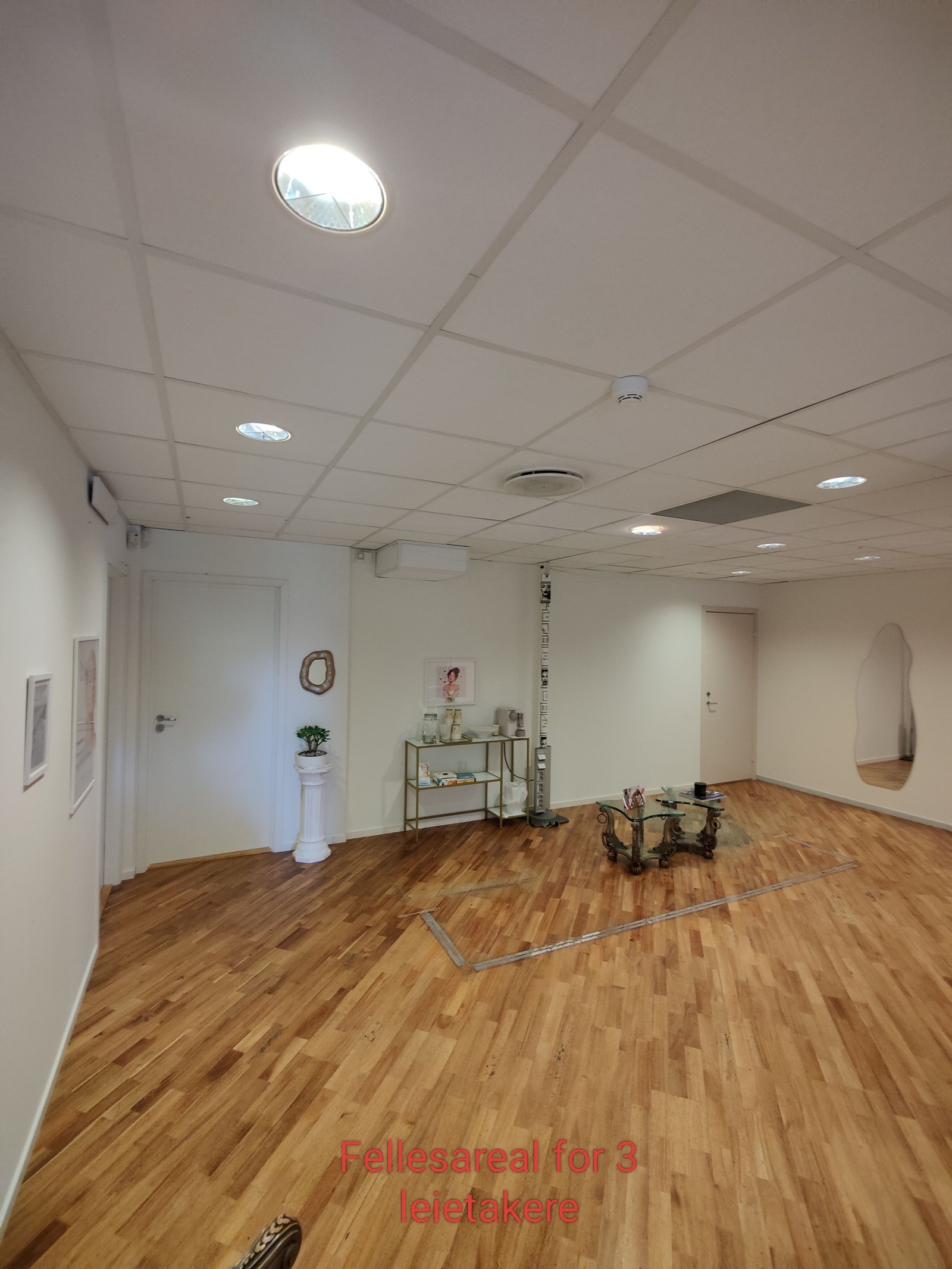 Fellesareal Galleribilde