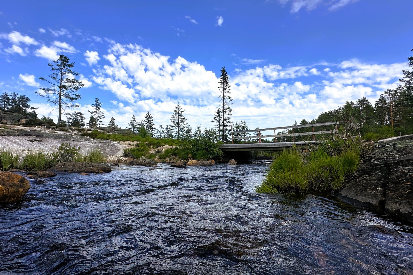 Flotte turområder like ved tomten Galleribilde