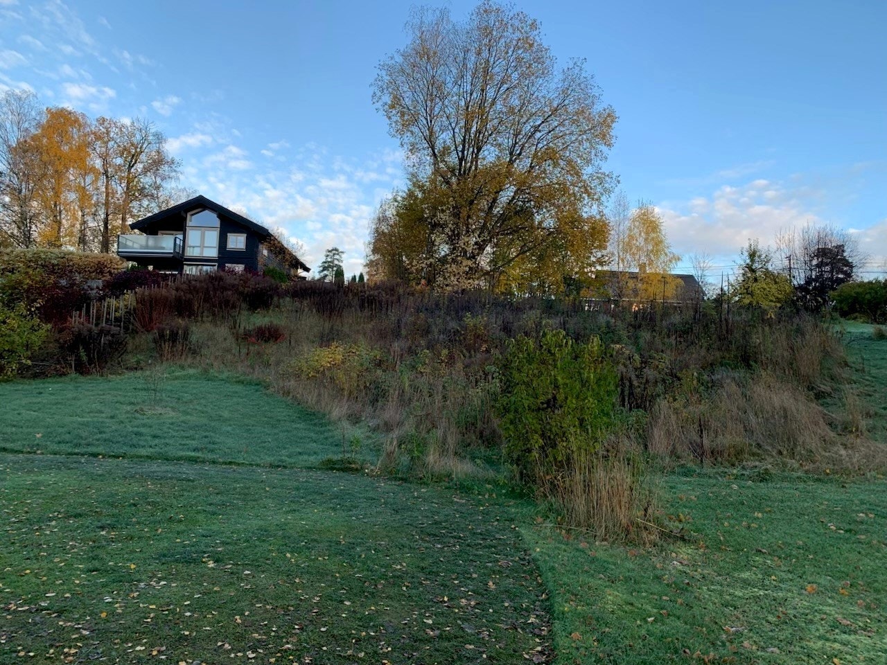 Ubebygd boligtomt med fanastisk beliggenhet ved sjøen på Nesøya Galleribilde