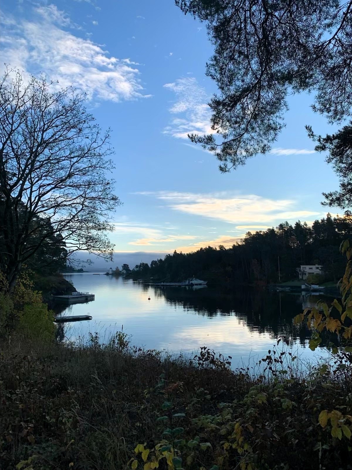Ubebygd boligtomt med fanastisk beliggenhet ved sjøen på Nesøya Galleribilde