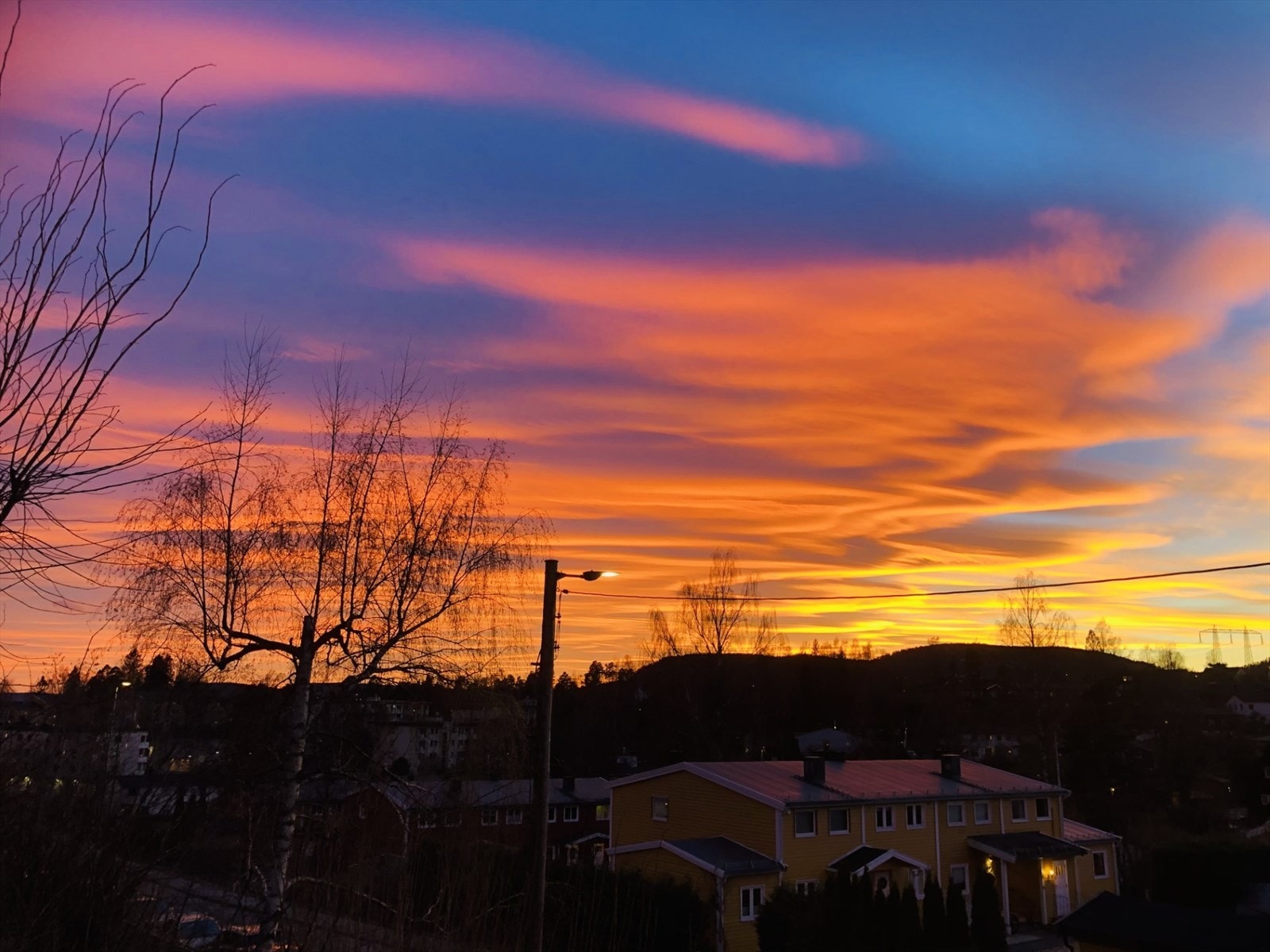 Selgers egne bilder Galleribilde